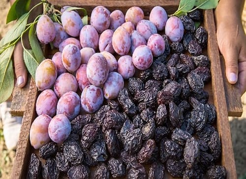 فروش باور نکردنی آلو بخارا تازه